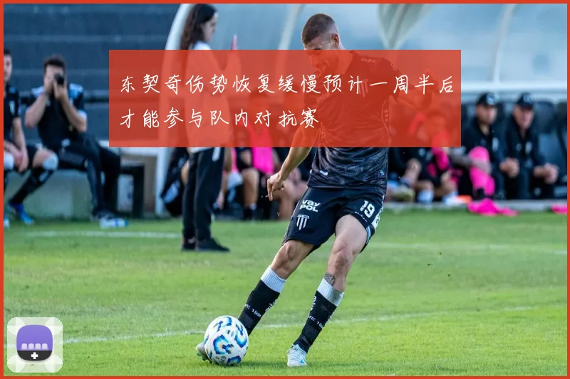 东契奇伤势恢复缓慢预计一周半后才能参与队内对抗赛